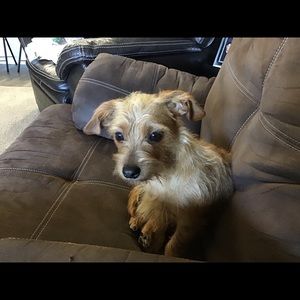 Meet your Posher, Suzanne